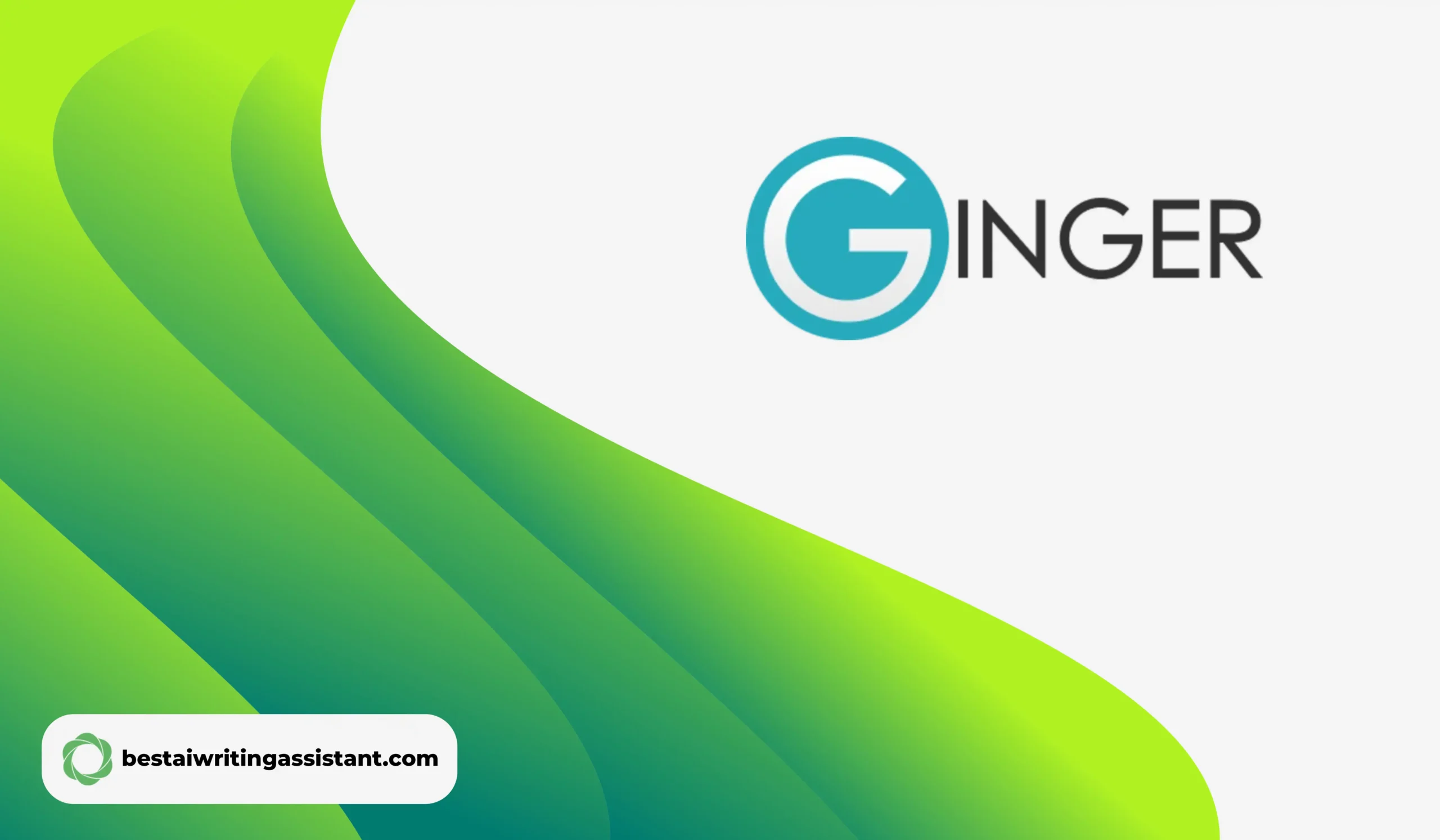Ginger ai