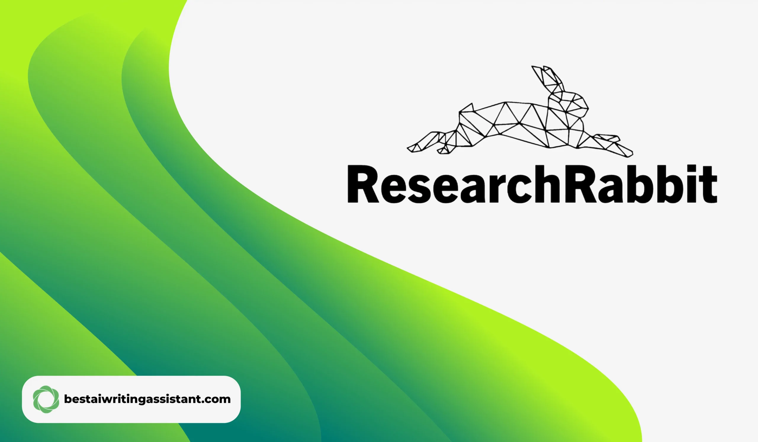ResearchRabbit Review: Feature Testing And Honest Feedback