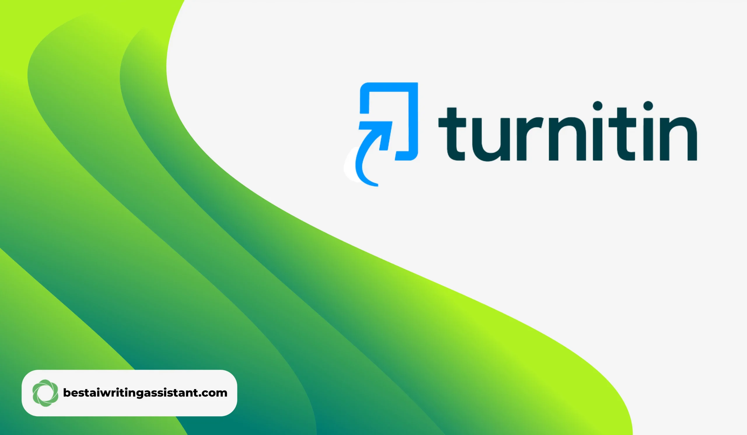 Turnitin AI Review: Feature Testing And Honest Feedback